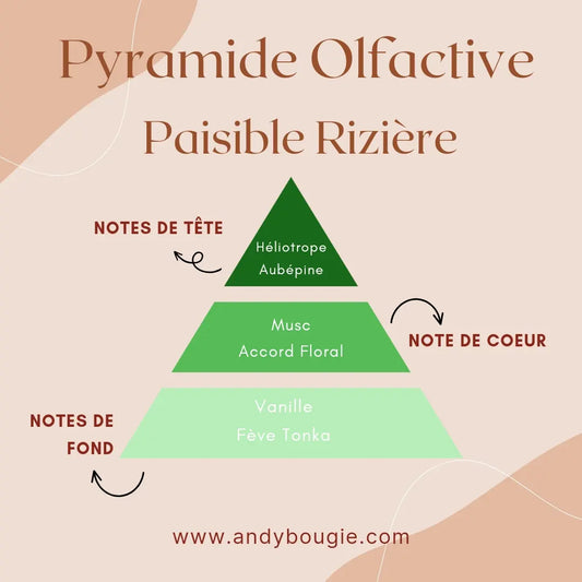 Bougie artisanale La Rizière Camargue 70g – Les Bougies d'Andy