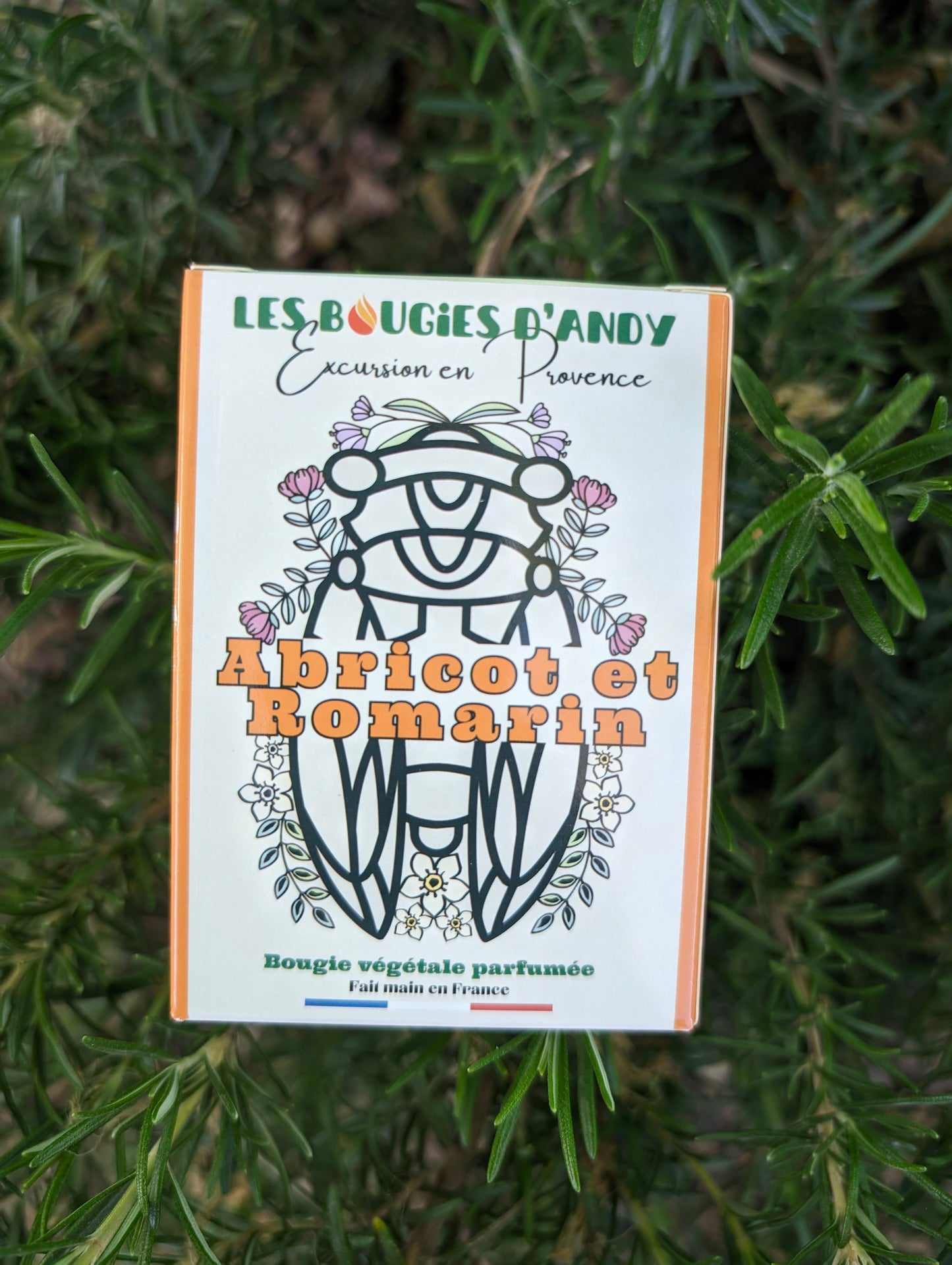 Bougie Abricot et Romarin