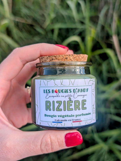 Bougie La Rizière parfum poudré floral Camargue – Les Bougies d'Andy