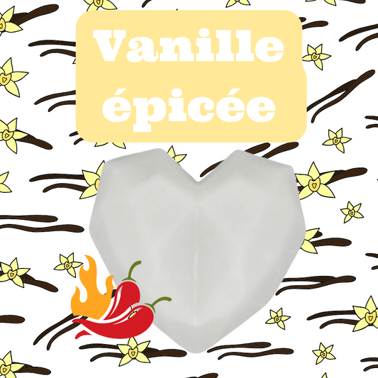 🪶 Fondant Vanille Épicée