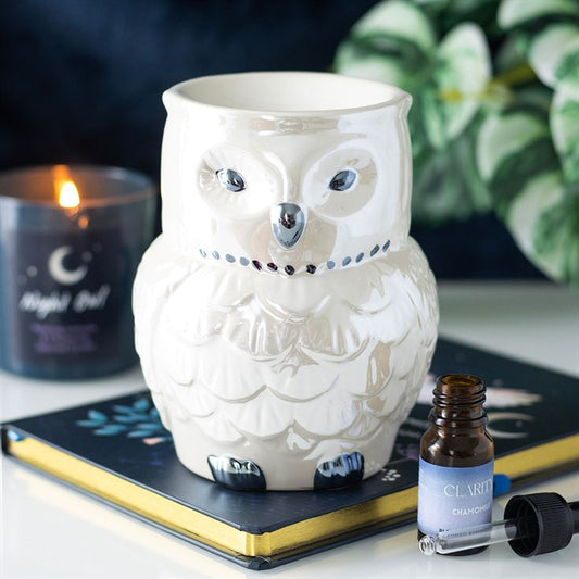 🦉 Fiche Produit – Brûleur Parfumé Hibou Nacré Irisé