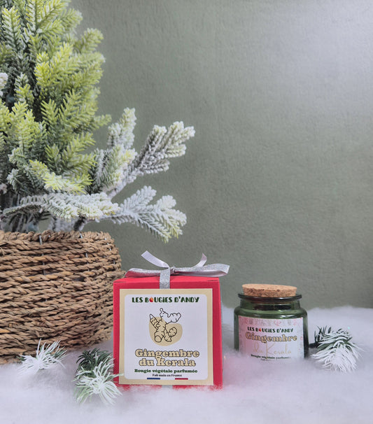🌿 Bougie de Noël – Gingembre du Kerala