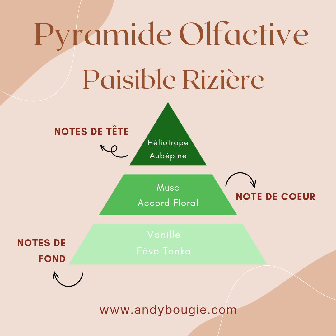 Bougie artisanale La Rizière Camargue 160g en verre ambré – Les Bougies d'Andy