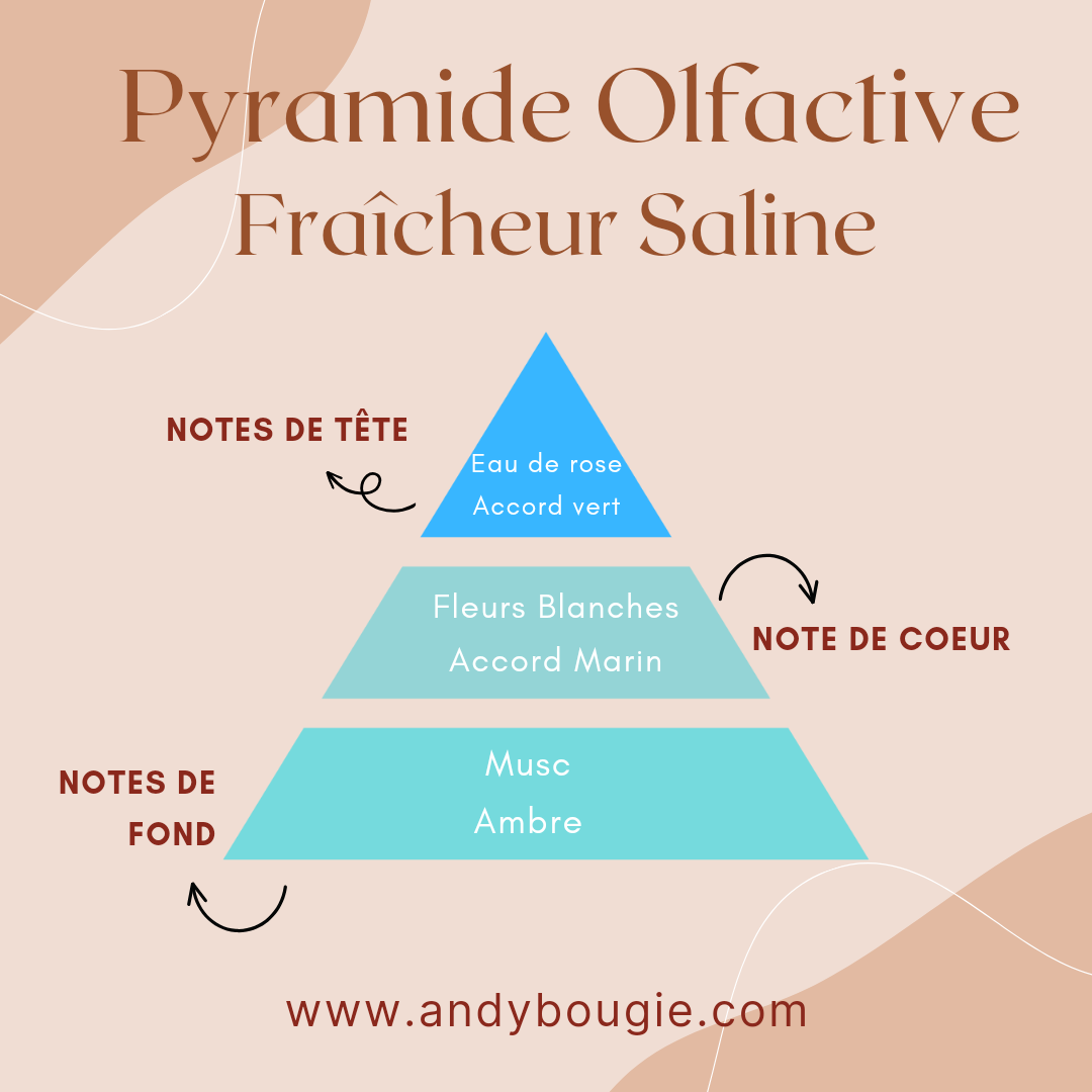 Bougie La Saline parfum marin et salin Camargue – Les Bougies d'Andy