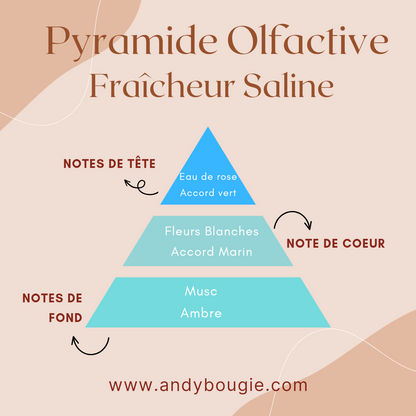 Bougie La Saline parfum marin et salin Camargue – Les Bougies d'Andy
