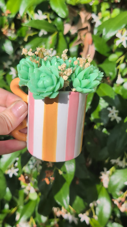 🌿 Pot de Succulentes Parfumées – Ambre Safran