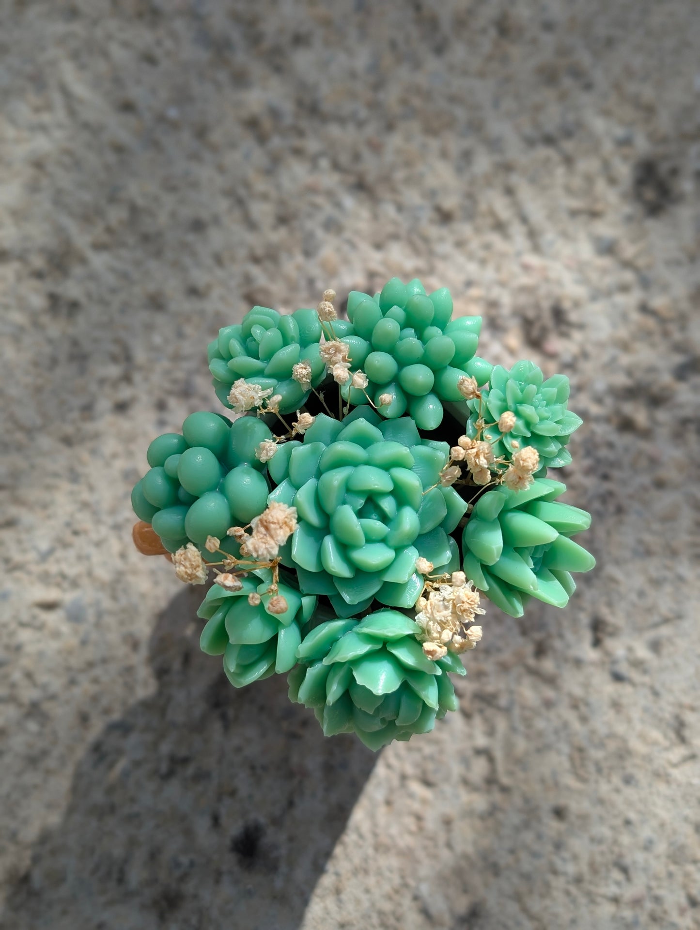 🌿 Pot de Succulentes Parfumées – Ambre Safran