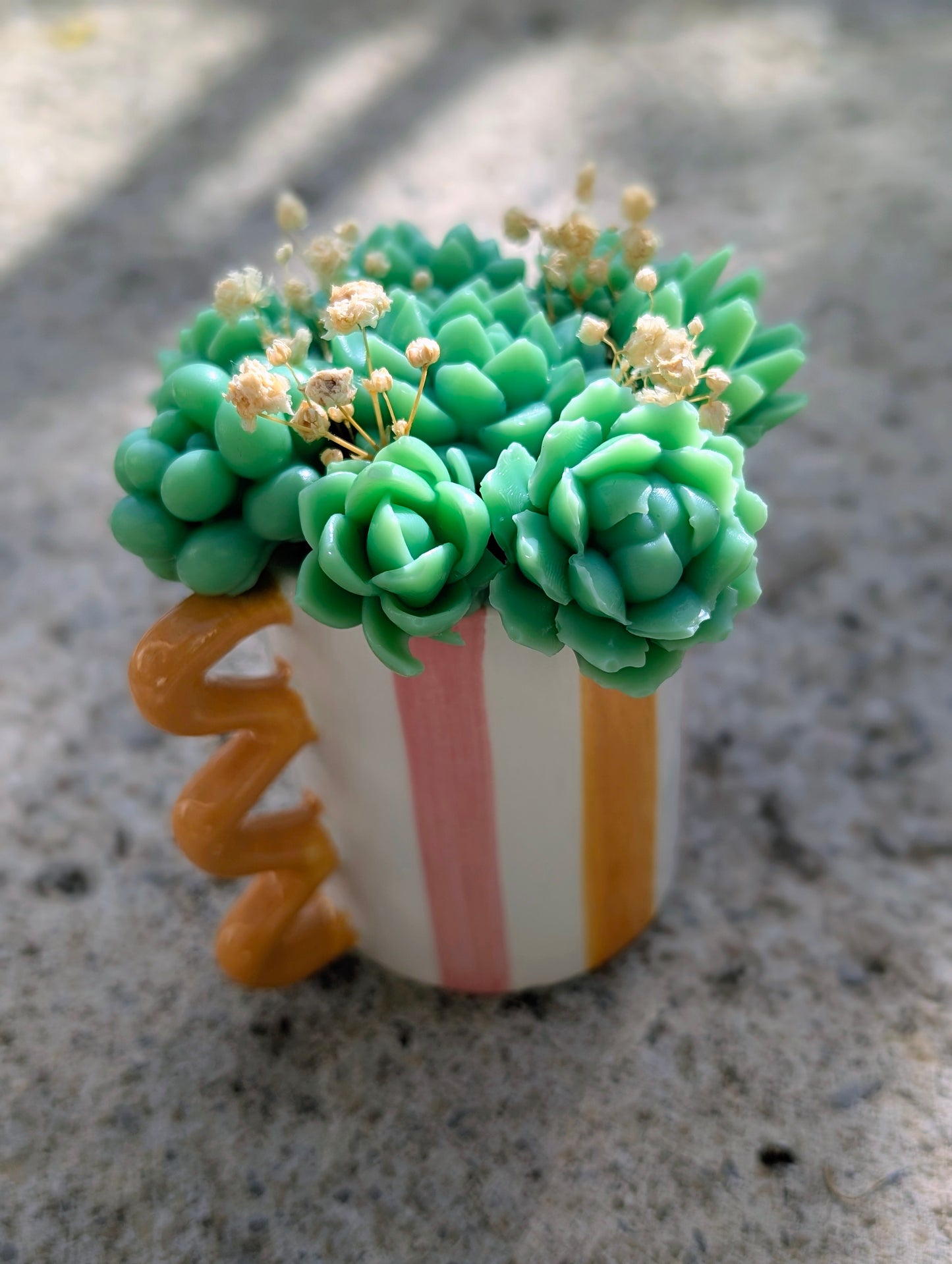 🌿 Pot de Succulentes Parfumées – Ambre Safran