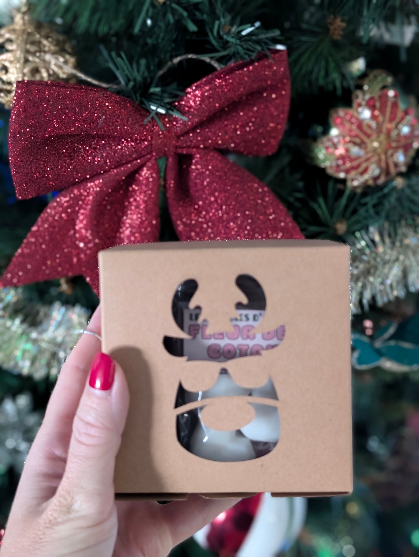 🎄 Coffret Brûleur Sapin & Fondant Parfumé